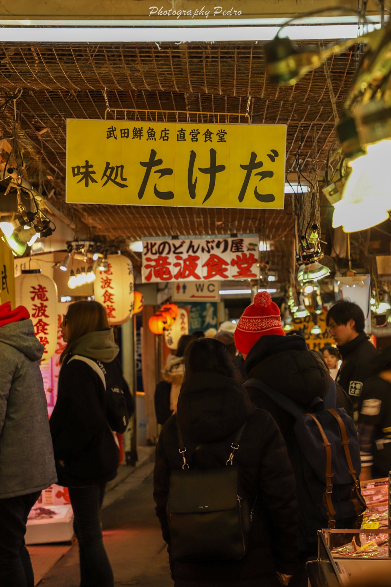 北海道自助遊攻略