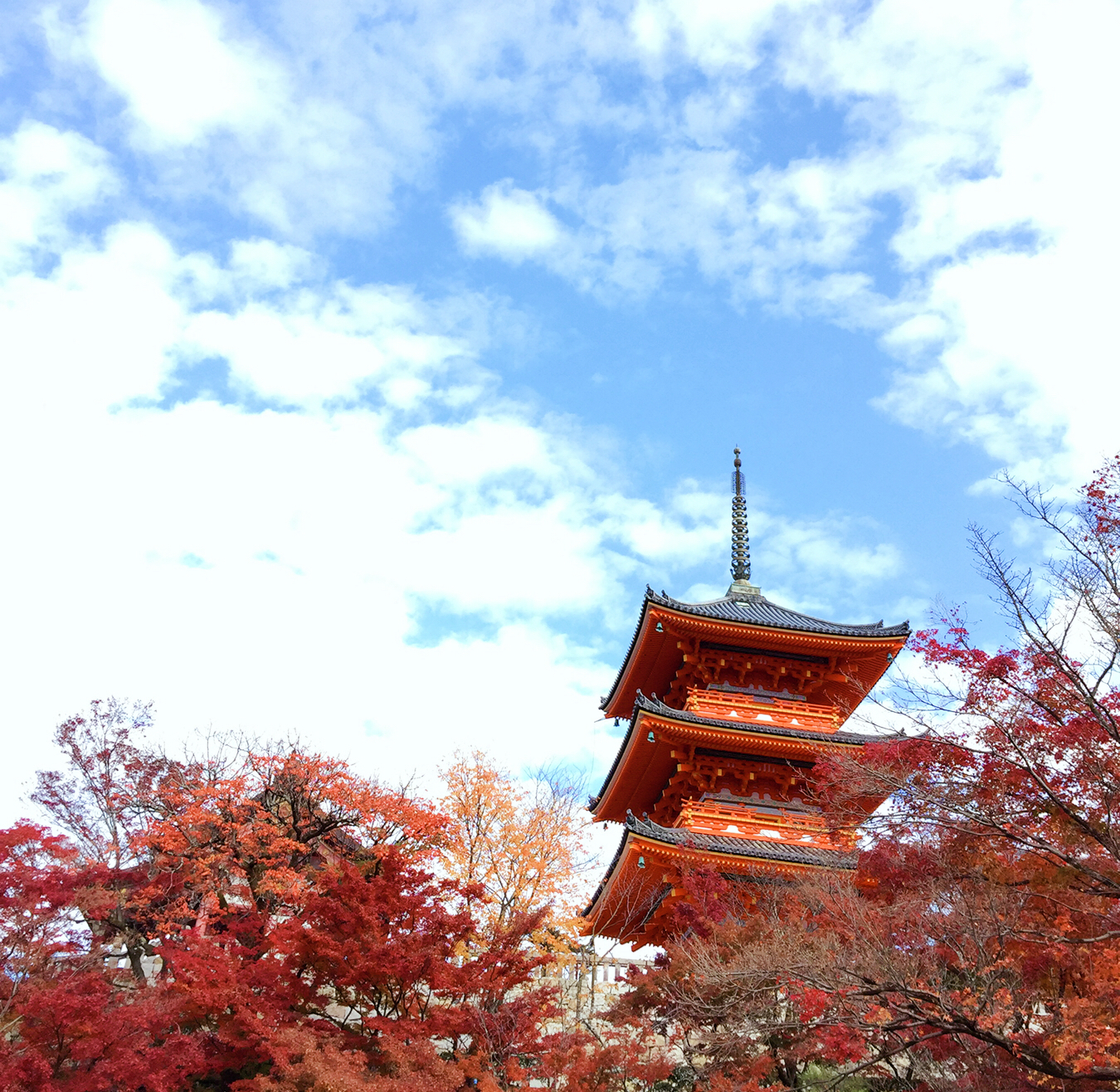 京都自助遊攻略