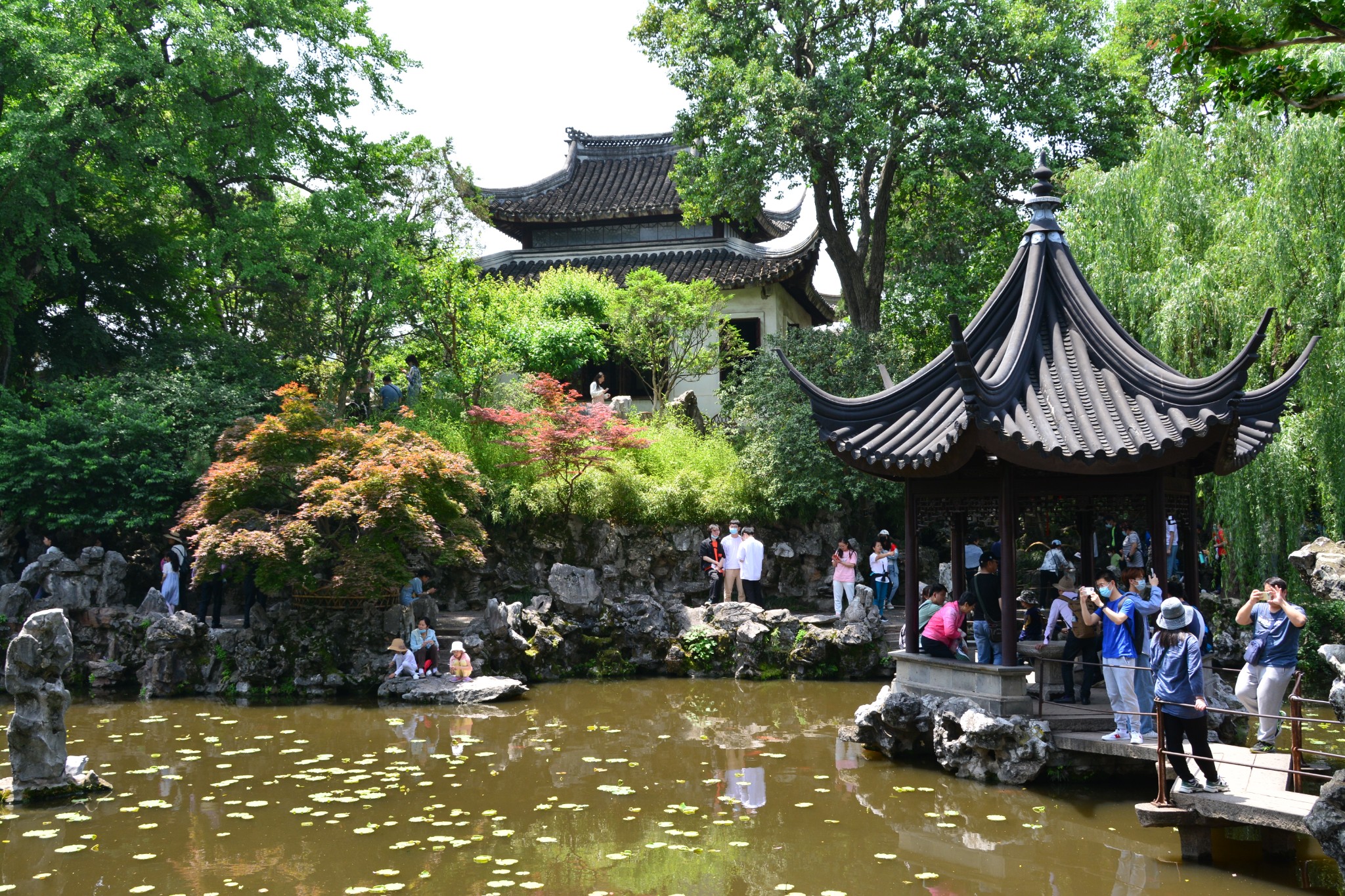 苏州(狮子林)游记  2018.02.20_游记